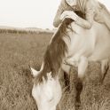 <p>Fotoshooting mit Deinem Pferd</p>